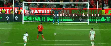 利来体育平台掌握体坛动态全攻略：从资讯获取到深度分析